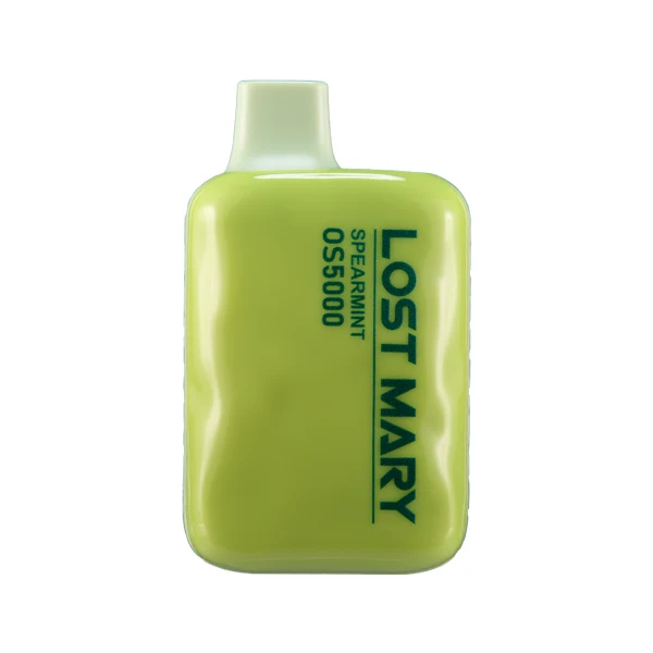 Lost Mary OS5000 vape