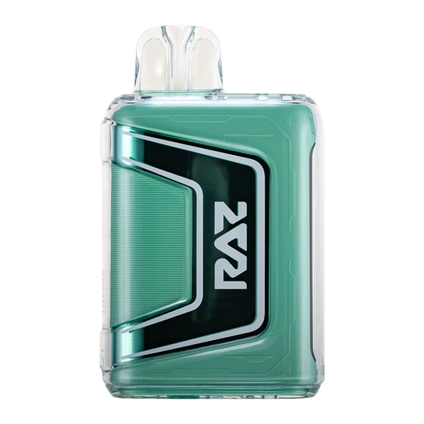 9000 puff vape Miami Mint RAZ TN9000 mint flavor device